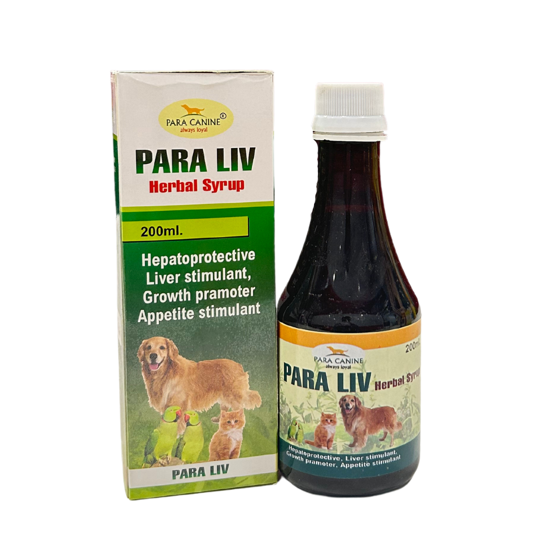 Para Liv Herbal Syrup (Prevent dogs from liver disorder, jaundice, hepatits and fibrosis.)